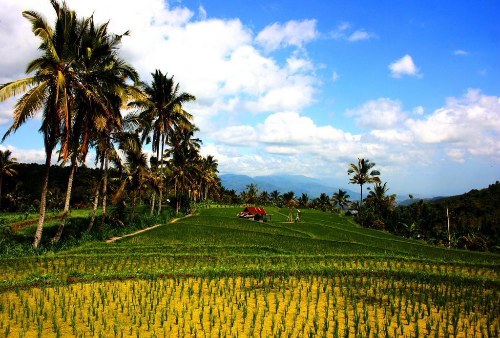 Hotel Puri Alam Bali Munduk Exteriér fotografie