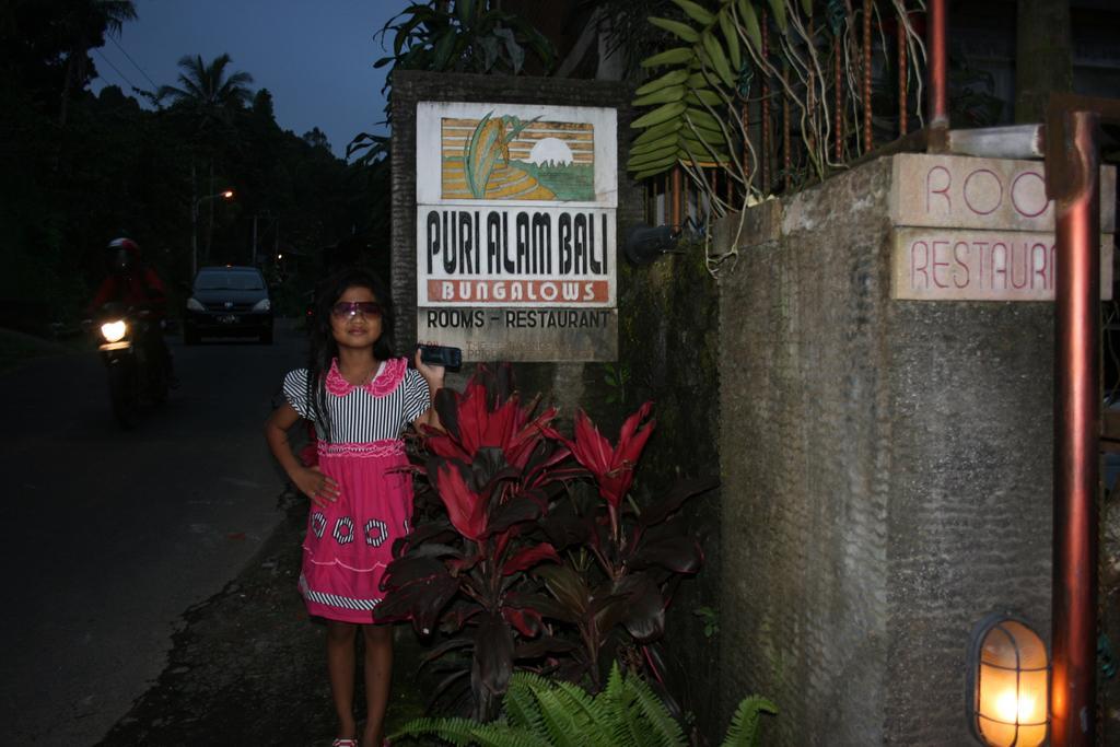 Hotel Puri Alam Bali Munduk Exteriér fotografie